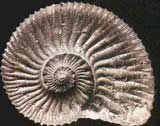 ���������� ��������