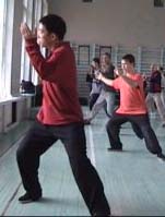 ���� ������, ���� ����, ������������� ���������� �����������, Tai chi chuan chen, Taichichuan