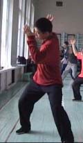 ���� ������, ���� ����, ������������� ���������� �����������, Tai chi chuan chen, Taichichuan