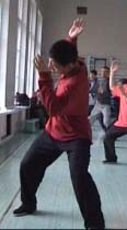 ���� ������, ���� ����, ������������� ���������� �����������, Tai chi chuan chen, Taichichuan