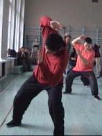 ���� ������, ���� ����, ������������� ���������� �����������, Tai chi chuan chen, Taichichuan