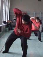 ���� ������, ���� ����, ������������� ���������� �����������, Tai chi chuan chen, Taichichuan
