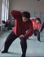 ���� ������, ���� ����, ������������� ���������� �����������, Tai chi chuan chen, Taichichuan
