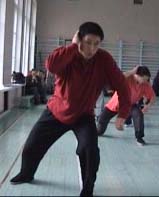 ���� ������, ���� ����, ������������� ���������� �����������, Tai chi chuan chen, Taichichuan