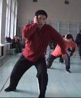 ���� ������, ���� ����, ������������� ���������� �����������, Tai chi chuan chen, Taichichuan