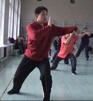 ���� ������, ���� ����, ������������� ���������� �����������, Tai chi chuan chen, Taichichuan