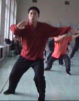 ���� ������, ���� ����, ������������� ���������� �����������, Tai chi chuan chen, Taichichuan