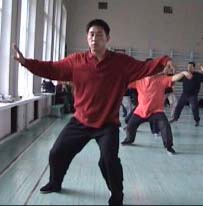 ���� ������, ���� ����, ������������� ���������� �����������, Tai chi chuan chen, Taichichuan