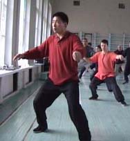 ���� ������, ���� ����, ������������� ���������� �����������, Tai chi chuan chen, Taichichuan