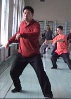 ���� ������, ���� ����, ������������� ���������� �����������, Tai chi chuan chen, Taichichuan