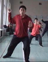 ���� ������, ���� ����, ������������� ���������� �����������, Tai chi chuan chen, Taichichuan