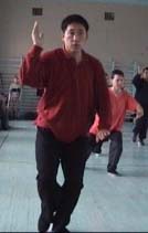 ���� ������, ���� ����, ������������� ���������� �����������, Tai chi chuan chen, Taichichuan