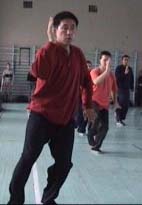 ���� ������, ���� ����, ������������� ���������� �����������, Tai chi chuan chen, Taichichuan