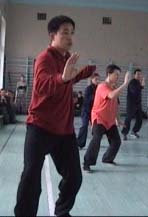 ���� ������, ���� ����, ������������� ���������� �����������, Tai chi chuan chen, Taichichuan