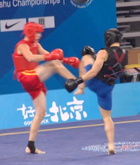 чемпионат мира по ушу, саньда саньшоу