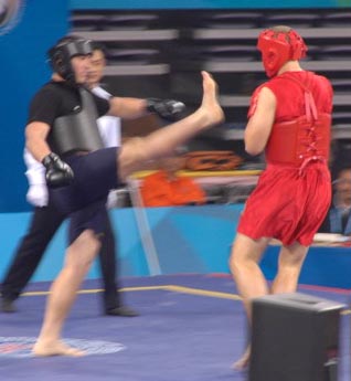 чемпионат мира по ушу, саньда саньшоу