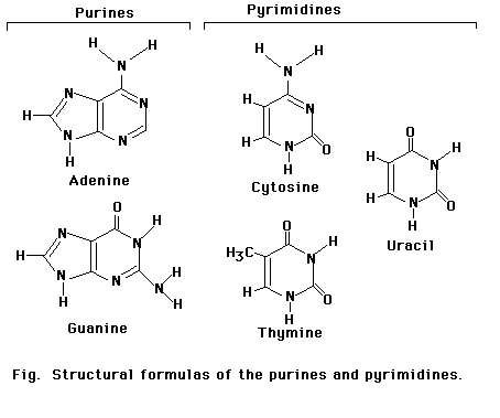 ������