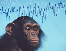 ������������� �������� �����, ������� �����