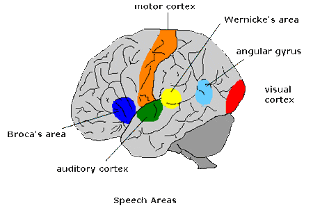 ���� ��������